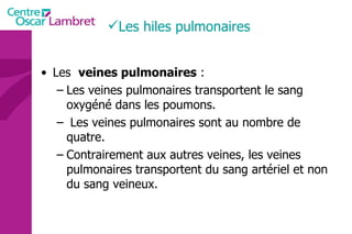 Les  veines pulmonaires  : Les veines pulmonaires transportent le sang oxygéné dans les poumons. Les veines pulmonaires sont au nombre de quatre.  Contrairement aux autres veines, les veines pulmonaires transportent du sang artériel et non du sang veineux.  Les hiles pulmonaires 