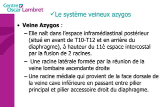 Veine Azygos  : Elle naît dans l’espace inframédiastinal postérieur (situé en avant de T10-T12 et en arrière du diaphragme), à hauteur du 11è espace intercostal par la fusion de 2 racines. Une racine latérale formée par la réunion de la veine lombaire ascendante droite  Une racine médiale qui provient de la face dorsale de la veine cave inférieure en passant entre pilier principal et pilier accessoire droit du diaphragme.     Le système veineux azygos 
