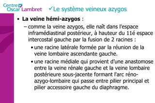 La veine hémi-azygos  : comme la veine azygos, elle naît dans l'espace inframédiastinal postérieur, à hauteur du 11é espace intercostal gauche par la fusion de 2 racines :  une racine latérale formée par la réunion de la veine lombaire ascendante gauche. une racine médiale qui provient d’une anastomose entre la veine rénale gauche et la veine lombaire postérieure sous-jacente formant l'arc réno-azygo-lombaire qui passe entre pilier principal et pilier accessoire gauche du diaphragme.  Le système veineux azygos 