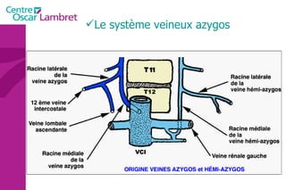 Le système veineux azygos 