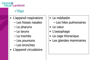 Plan L’appareil respiratoire Les fosses nasales Le pharynx Le larynx La trachée Les poumons Les bronches L’appareil circulatoire Le médiastin Les hiles pulmonaires Le cœur L’oesophage La cage thoracique Les glandes mammaires 