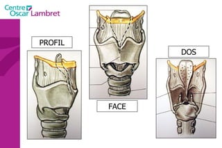 PROFIL FACE DOS 