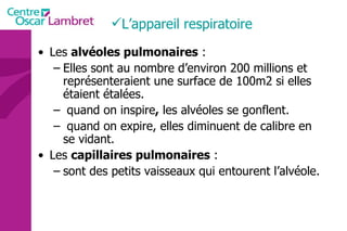 Les  alvéoles pulmonaires  : Elles sont au nombre d’environ 200 millions et représenteraient une surface de 100m2 si elles étaient étalées. quand on inspire ,  les alvéoles se gonflent. quand on expire, elles diminuent de calibre en se vidant.  Les  capillaires pulmonaires  : sont des petits vaisseaux qui entourent l’alvéole.  L’appareil respiratoire  