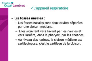 L’appareil respiratoire  Les  fosses nasales  : Les fosses nasales sont deux cavités séparées par une cloison médiane. Elles s'ouvrent vers l’avant par les narines et vers l’arrière, dans le pharynx, par les choanes.  Au niveau des narines, la cloison médiane est cartilagineuse, c’est le cartilage de la cloison.  
