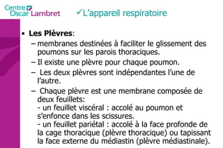 Les Plèvres :  membranes destinées à faciliter le glissement des poumons sur les parois thoraciques.  Il existe une plèvre pour chaque poumon. Les deux plèvres sont indépendantes l’une de l’autre. Chaque plèvre est une membrane composée de deux feuillets:  - un feuillet viscéral : accolé au poumon et s’enfonce dans les scissures.  - un feuillet pariétal : accolé à la face profonde de la cage thoracique (plèvre thoracique) ou tapissant la face externe du médiastin (plèvre médiastinale).  L’appareil respiratoire  