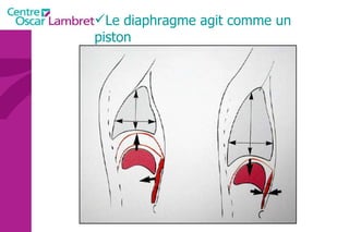Le diaphragme agit comme un piston 