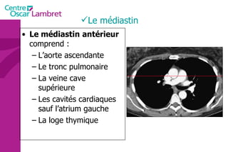 Le médiastin Le médiastin   antérieur  comprend : L’aorte ascendante Le tronc pulmonaire La veine cave supérieure Les cavités cardiaques sauf l’atrium gauche La loge thymique 