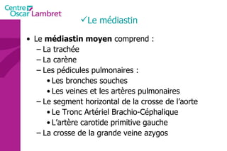 Le médiastin Le  médiastin moyen  comprend : La trachée La carène Les pédicules pulmonaires : Les bronches souches Les veines et les artères pulmonaires Le segment horizontal de la crosse de l’aorte Le Tronc Artériel Brachio-Céphalique L’artère carotide primitive gauche La crosse de la grande veine azygos 
