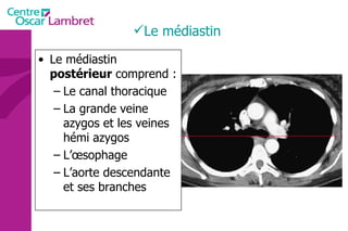 Le médiastin Le médiastin  postérieur  comprend : Le canal thoracique La grande veine azygos et les veines hémi azygos L’œsophage L’aorte descendante et ses branches 