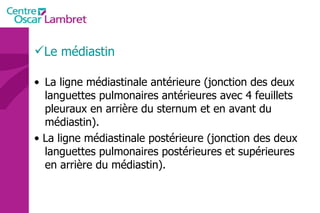 La ligne médiastinale antérieure (jonction des deux languettes pulmonaires antérieures avec 4 feuillets pleuraux en arrière du sternum et en avant du médiastin).  •  La ligne médiastinale postérieure (jonction des deux languettes pulmonaires postérieures et supérieures en arrière du médiastin). Le médiastin 