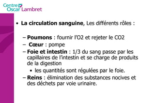 La circulation sanguine , Les différents rôles : Poumons  : fournir l’O2 et rejeter le CO2 Cœur  : pompe Foie et intestin  : 1/3 du sang passe par les capillaires de l’intestin et se charge de produits de la digestion les quantités sont régulées par le foie. Reins  : élimination des substances nocives et des déchets par voie urinaire. 