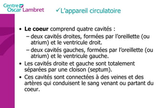 Le coeur  comprend quatre cavités :  deux cavités droites, formées par l’oreillette (ou atrium) et le ventricule droit.  deux cavités gauches, formées par l’oreillette (ou atrium) et le ventricule gauche.  Les cavités droite et gauche sont totalement séparées par une cloison (septum).  Ces cavités sont connectées à des veines et des artères qui conduisent le sang venant ou partant du coeur.  L’appareil circulatoire 