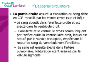 La partie droite  assure la circulation du sang riche en CO² recueilli par les veines caves (sup et inf) :  ce sang aboutit dans l’oreillette droite et est éjecté dans le ventricule droit. L’oreillette et le ventricule droits communiquent par l’orifice auriculo-ventriculaire droit, lequel est obturé par la valvule tricuspide, empêchant le retour de sang du ventricule vers l’oreillette. Le sang est ensuite éjecté dans l’artère pulmonaire, l’obturation étant assurée par la valvule sigmoïde.  L’appareil circulatoire 