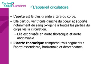 L’appareil circulatoire L’ aorte  est la plus grande artère du corps.  Elle part du ventricule gauche du coeur et apporte notamment du sang oxygéné à toutes les parties du corps via la circulation. Elle est divisée en aorte thoracique et aorte abdominale. L’aorte thoracique  comprend trois segments : l'aorte ascendante, horizontale et descendante. 
