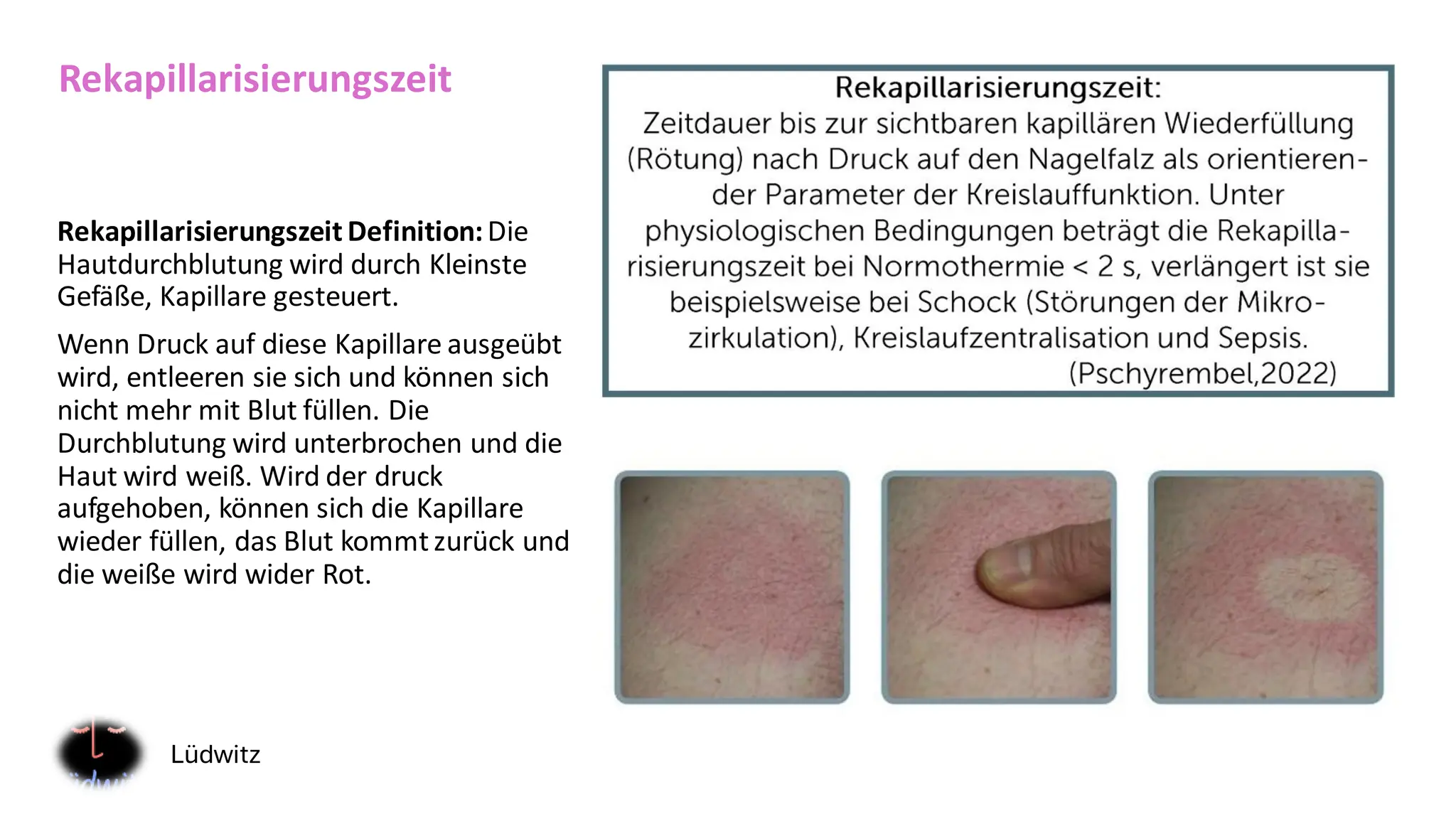 Anatomie und Physiologie der Haut und Hautanhangsgebilde PPT