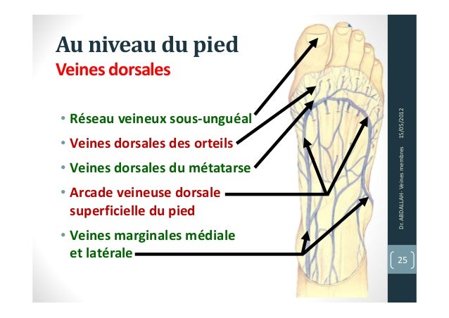 veine du pied