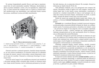 Anatomie vol1 | PDF