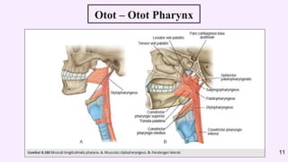 Otot – Otot Pharynx
11
 