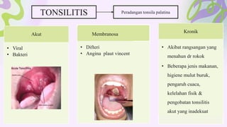 Akut
• Viral
• Bakteri
Membranosa
• Difteri
• Angina plaut vincent
Kronik
• Akibat rangsangan yang
menahun dr rokok
• Beberapa jenis makanan,
higiene mulut buruk,
pengaruh cuaca,
kelelahan fisik &
pengobatan tonsilitis
akut yang inadekuat
TONSILITIS Peradangan tonsila palatina
 