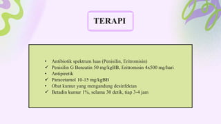 • Antibiotik spektrum luas (Penisilin, Eritromisin)
 Penisilin G Benzatin 50 mg/kgBB, Eritromisin 4x500 mg/hari
• Antipiretik
 Paracetamol 10-15 mg/kgBB
• Obat kumur yang mengandung desinfektan
 Betadin kumur 1%, selama 30 detik, tiap 3-4 jam
TERAPI
 