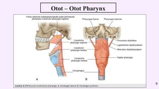 Otot – Otot Pharynx
9
 