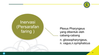 Faring Sehat Anatomi Faring dan Laring kelompok 1.pptx