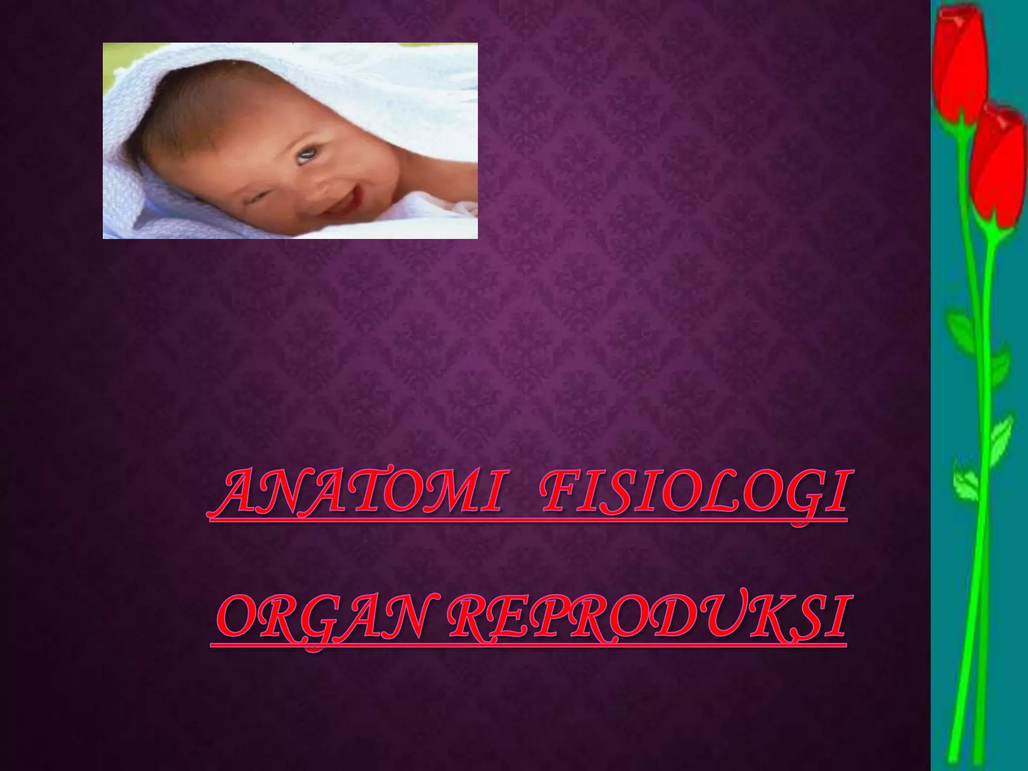 Anatomi fisiologi fertilisasi baru PPT