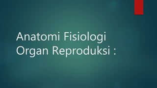 Anatomi Fisiologi
Organ Reproduksi :
 