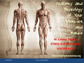 1
13/12/2022 anat_muskuloskeletal
dr. Caesar Togana
STIKES SURYA GLOBAL
YOGYAKARTA
 