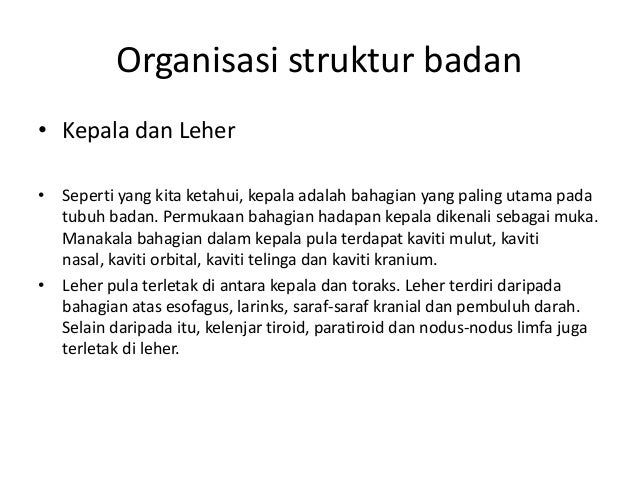Struktur Otak Dan Bahagian Bahagiannya - Berbagi Struktur