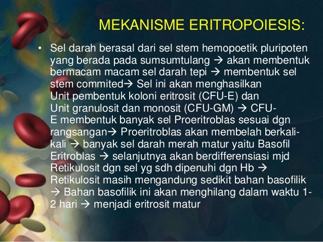 Anatomi fisiologi sistem hematologi