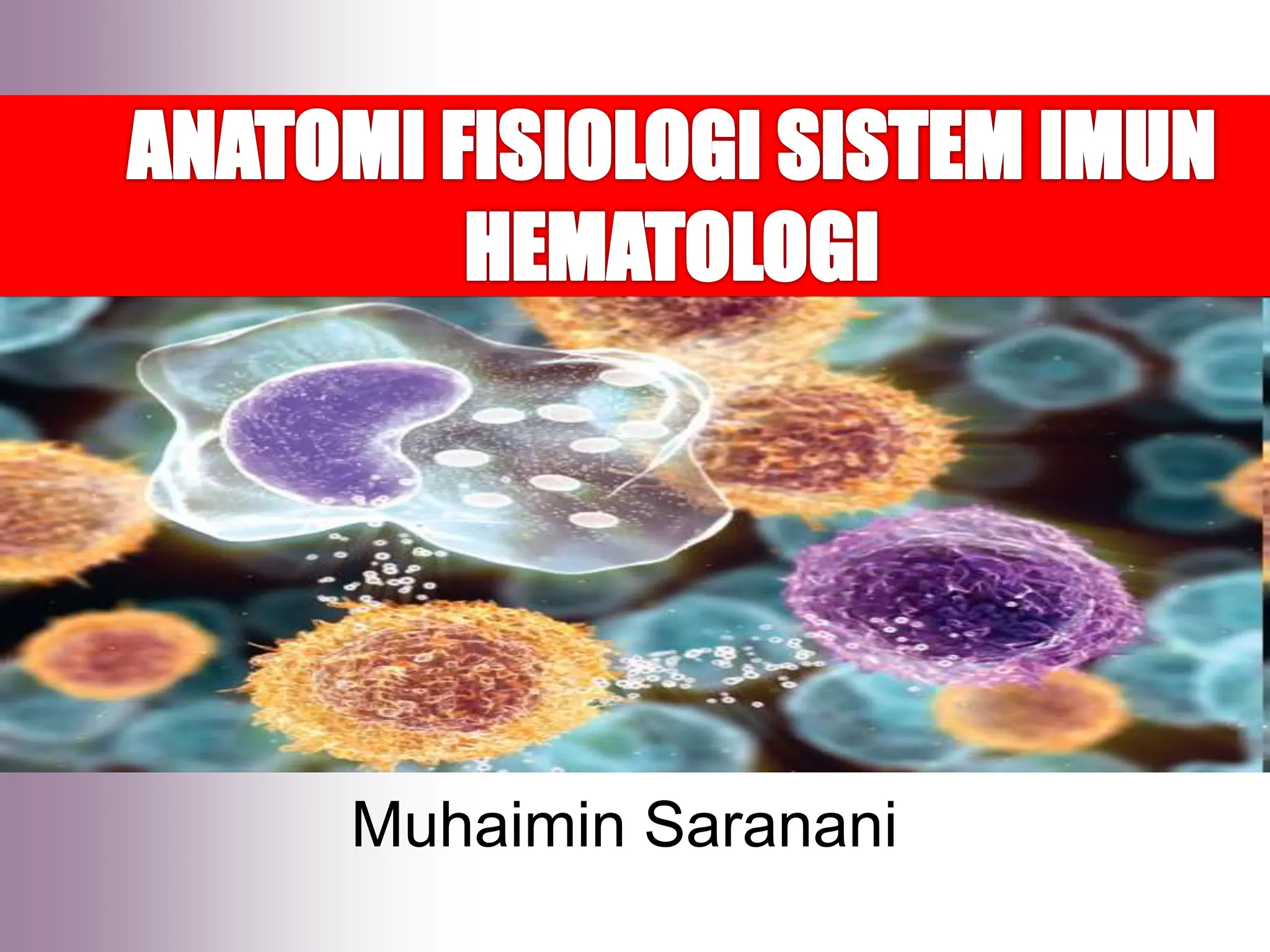 Anatomi Fisiologi Sistem Imunologi Dan Hematologi Pdf vrogue.co