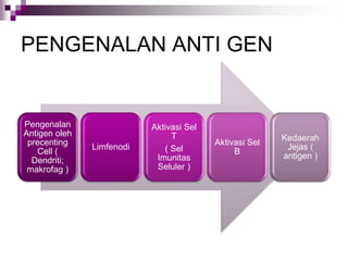 ANATOMI FISIOLOGI SISTEM_IMUN DAN HEMATOLOGI.ppt