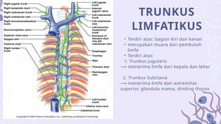 Trunkus Math anatomi fisiologi sistem limfatik manusia | PPTX