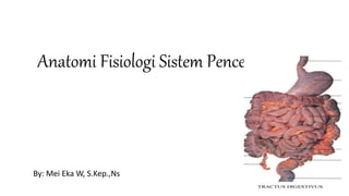 Anatomi Fisiologi Sistem Pencernaan
By: Mei Eka W, S.Kep.,Ns
 