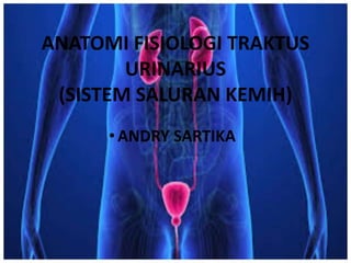 ANATOMI FISIOLOGI TRAKTUS
URINARIUS
(SISTEM SALURAN KEMIH)
• ANDRY SARTIKA
 