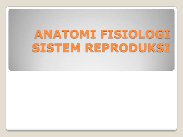 Anatomi fisiologi sistem reproduksi