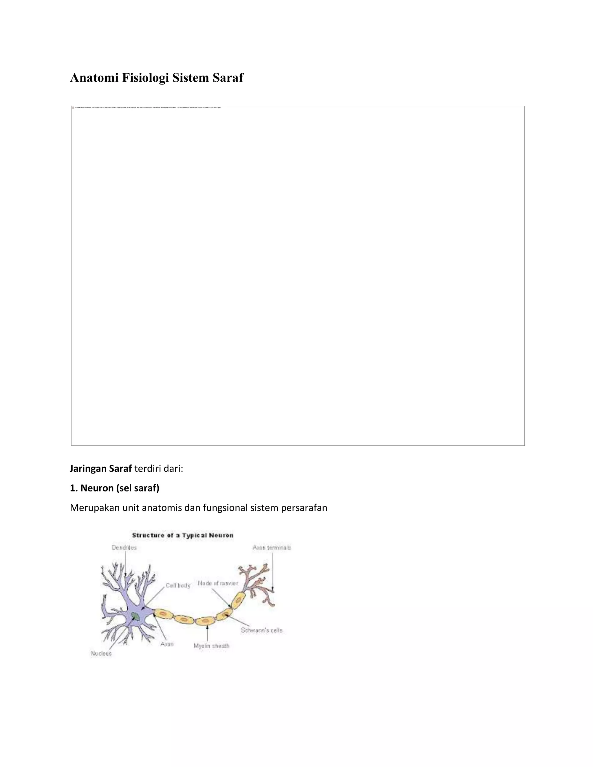 Anatomi fisiologi sistem saraf | PDF | Free Download