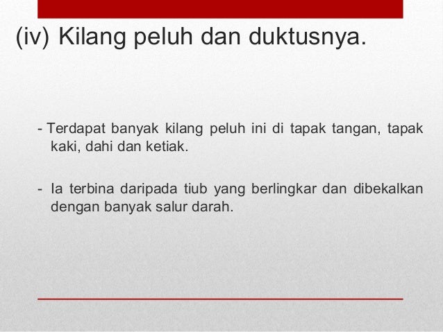 ANATOMI & FISIOLOGI STRUKTUR KULIT