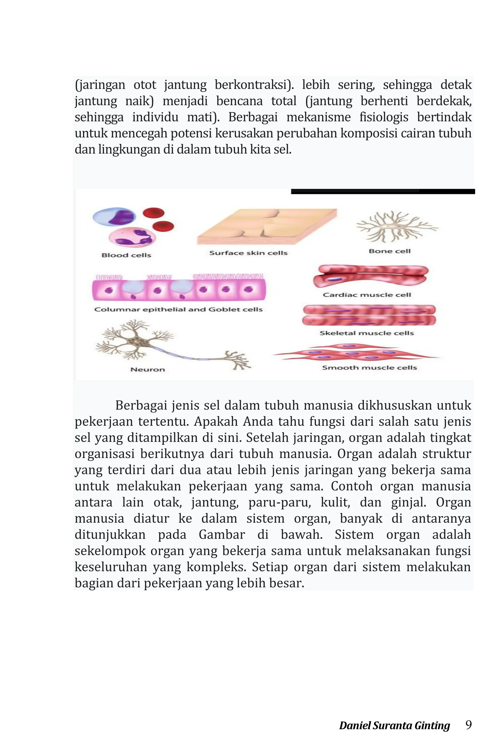 Mushaklar gey porno video