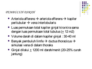 PEMBULUH DARAH
 Arteriolaafferens arteriolaefferens kapiler
peritubular  venainterlobularis
 Luaspermukaan total kapiler ginjal kira-kirasama
dengan luaspermukaan total tubulus(+ 12 m2)
 Volumedarah di dalam kapiler ginjal : 30-40 ml
 Banyak pembuluh limfe ductusthoracicus
sirkulasi venadi dalam thoraks
 Ginjal dilalui + 1200 ml darah/menit (20-25% curah
jantung)
 