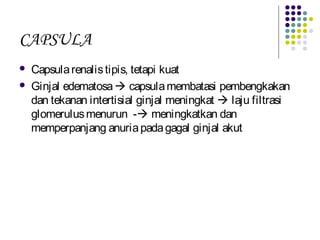 CAPSULA
 Capsularenalistipis, tetapi kuat
 Ginjal edematosa capsulamembatasi pembengkakan
dan tekanan intertisial ginjal meningkat  laju filtrasi
glomerulusmenurun - meningkatkan dan
memperpanjang anuriapadagagal ginjal akut
 