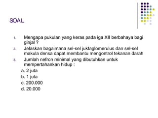 SOAL
1. Mengapa pukulan yang keras pada iga XII berbahaya bagi
ginjal ?
2. Jelaskan bagaimana sel-sel juktaglomerulus dan sel-sel
makula densa dapat membantu mengontrol tekanan darah
3. Jumlah nefron minimal yang dibutuhkan untuk
mempertahankan hidup :
a. 2 juta
b. 1 juta
c. 200.000
d. 20.000
 