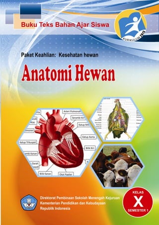 i
KEMENTERIAN PENDIDIKAN DAN KEBUDAYAAN
REPUBLIK INDONESIA
2013
Anatomi Hewan 1
Kelas
X
Penyusun : Ir. Sutarto , M.P.
 