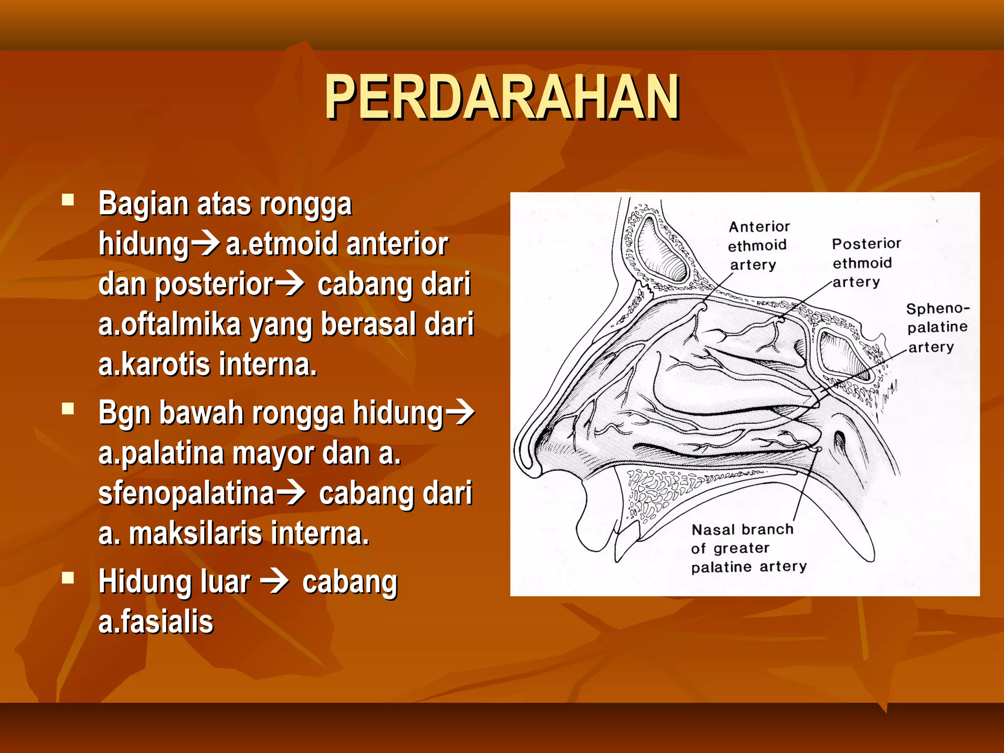 Anatomi hidung | PPT