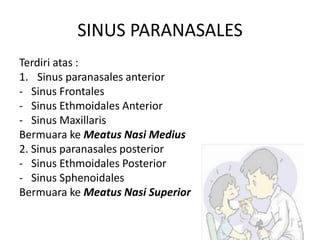 SINUS PARANASALES
Terdiri atas :
1. Sinus paranasales anterior
- Sinus Frontales
- Sinus Ethmoidales Anterior
- Sinus Maxillaris
Bermuara ke Meatus Nasi Medius
2. Sinus paranasales posterior
- Sinus Ethmoidales Posterior
- Sinus Sphenoidales
Bermuara ke Meatus Nasi Superior
 