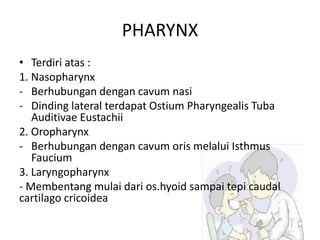 PHARYNX
• Terdiri atas :
1. Nasopharynx
- Berhubungan dengan cavum nasi
- Dinding lateral terdapat Ostium Pharyngealis Tuba
Auditivae Eustachii
2. Oropharynx
- Berhubungan dengan cavum oris melalui Isthmus
Faucium
3. Laryngopharynx
- Membentang mulai dari os.hyoid sampai tepi caudal
cartilago cricoidea
 