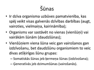 ŠūnasIr dzīva organisma uzbūves pamatvienība, kas spēj veikt visas galvenās dzīvības darbības (augt, vairoties, vielmaiņa, kairināmība);Organisms var sastāvēt no vienas (vienšūņi) vai vairākām šūnām (daudzšūnas);Vienšūņiem viena šūna veic gan vairošanos gan izdzīvošanu, bet daudzšūnu organismiem to veic divas atšķirīgas šūnu grupas:Somatiskās šūnas jeb ķermeņa šūnas (izdzīvošana);Ģeneratīvās jeb dzimumšūnas (vairošanās).