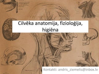 Cilvēka anatomija, fizioloģija,
higiēna
Kontakti: andris_ziemelis@inbox.lv
 