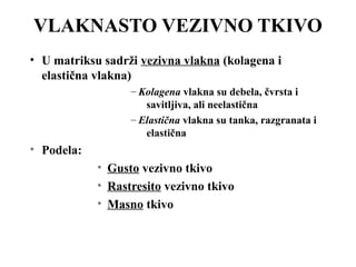VLAKNASTO VEZIVNO TKIVO 
• U matriksu sadrži vezivna vlakna (kolagena i 
elastična vlakna) 
– Kolagena vlakna su debela, čvrsta i 
savitljiva, ali neelastična 
– Elastična vlakna su tanka, razgranata i 
elastična 
• Podela: 
• Gusto vezivno tkivo 
• Rastresito vezivno tkivo 
• Masno tkivo 
 